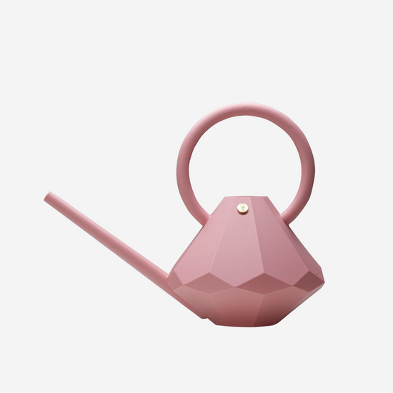 Load image into Gallery viewer, Watering Can Rose - 8L