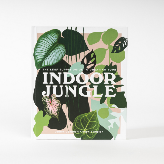 Load image into Gallery viewer, The Leaf Supply - Indoor Jungle