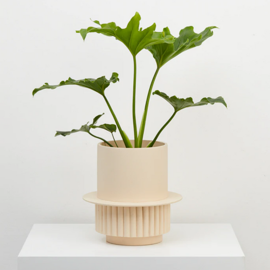 Load image into Gallery viewer, Roma Planter - Fossil