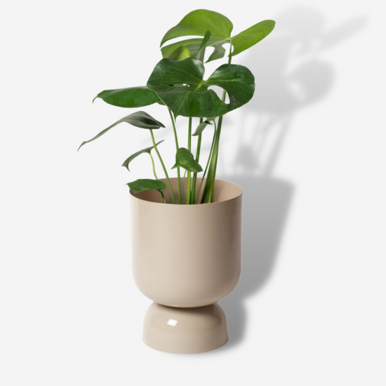 Load image into Gallery viewer, Goblet Planter A - Sand